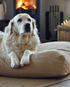 Large Scotney Canvas Luxury Dog Bed